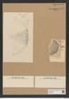 Aulacodiscus amoenus var. hungaricus Pant. (de-Toni-Nr.: Genus 182, Species 4529) Zeichnungen Sammlung Grunow Nr. 8118 (NHMW-BOT-W0377466)